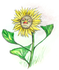 Zeichnung einer Blume mit Schnupfen