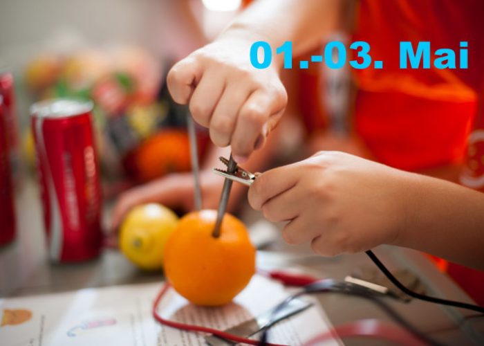 01.-03. Mai: Kind bastelt aus einer Orange eine Batterie