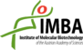 Logo IMBA - Institute of Molecular Biotechnology of the Austrian Academy of Sciences